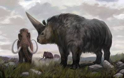 Un unicornio siberiano y un mamut