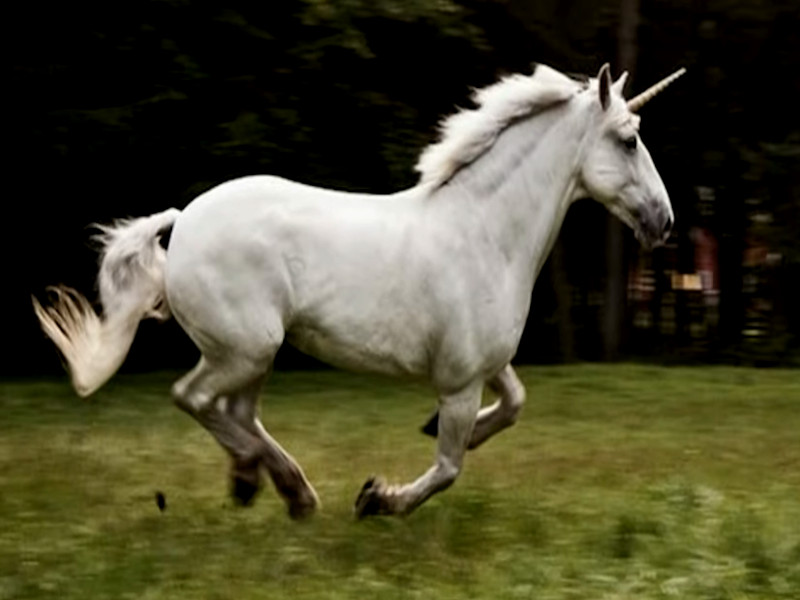Un unicornio captado en cámara corriendo al galope